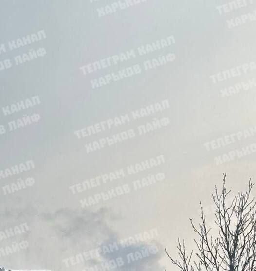 � ���� �� �� ������� ����� �� ����� � ������ ��������