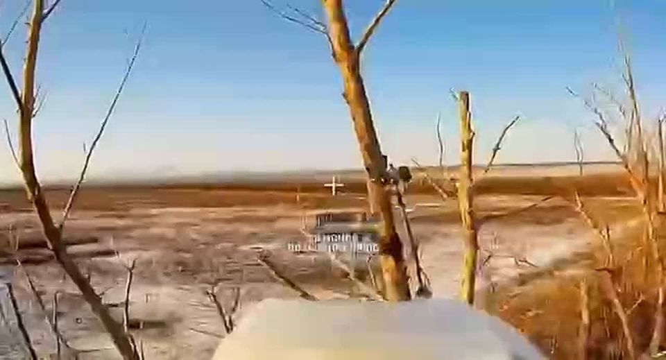 ��������� �������: ��������� �����������. ������ ����� ������ ������ ���������