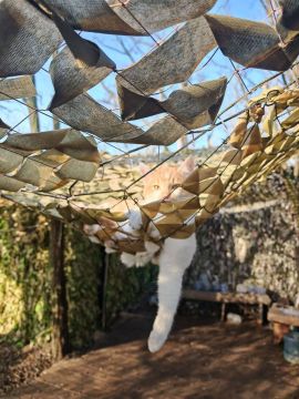 Доброе утро, подписчики. От боевого котика на Сватовском направлении Позывной Герань