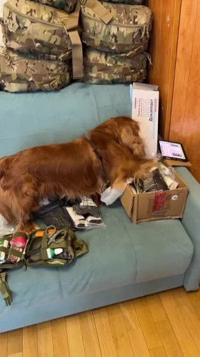 Юлия Витязева: Сегодня отгружаем рюкзаки, аптечки и сумки нашим танкистам