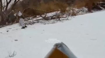 Александр Симонов: Харьковская область, район села Волчанские Хутора