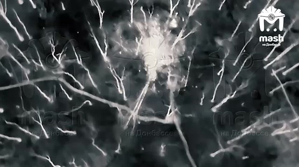 Бойцы из расчёта Пересвет наводят порядок на Харьковском направлении — ликвидируют замаскированную под елкой позицию ВСУ