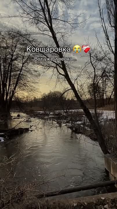 Ковшаровка. Прислать информацию/новость: