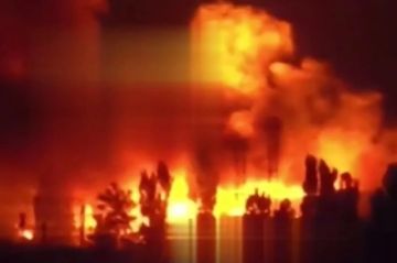 ������ ��� �� 5 �����. ������� ������� ���� �� ����� ��� � ����������� �������