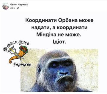 ʳ�-�� ���!. �� ����������ߠ� ��� ���