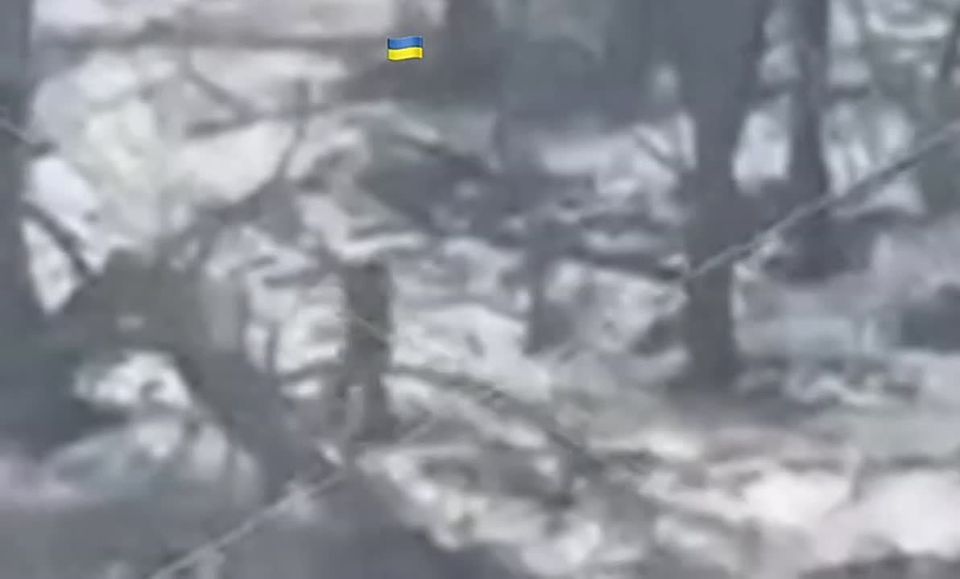 Рамзан Кадыров: Харьковское направление. Здесь несут службу военнослужащие стрелкового батальона имени Шейха Мансура МО РФ под командованием дорогого БРАТА Муслима Товзаева «Пуля» @batalyonshayhmansura