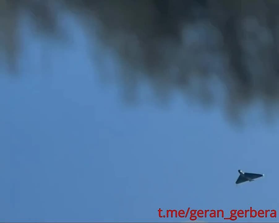 Олег Царёв: ВС РФ ночью нанесли удар по объектам в 7 областях Украины