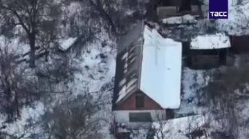 ����������� "�����" �� ��������� ��� ����������� ������� � ����������� �������, �������� � �� ��