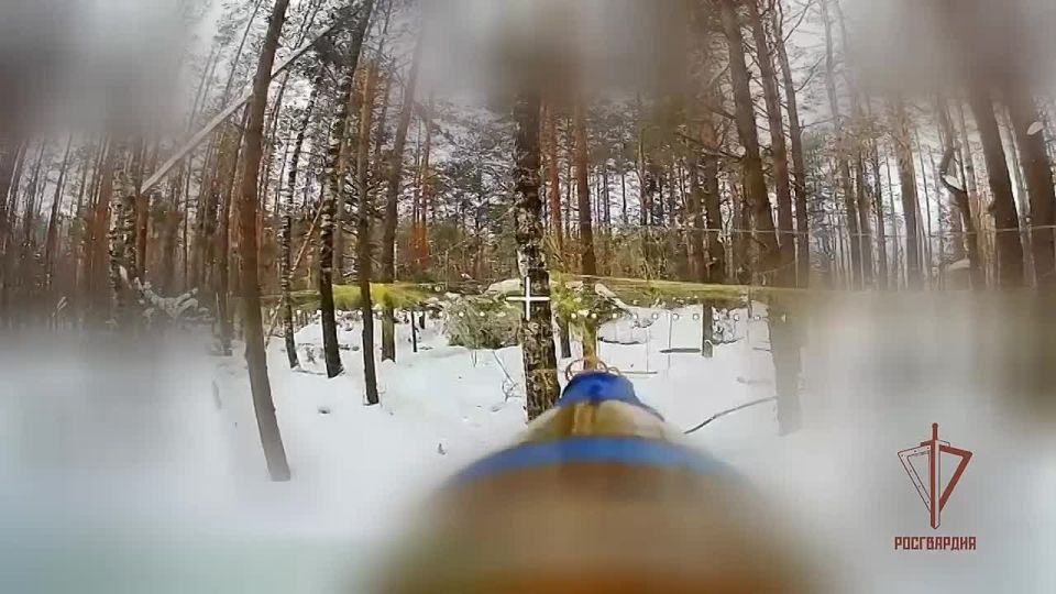 Кадры уничтожения позиций ВСУ расчётами БПЛА Росгвардии на харьковском направлении