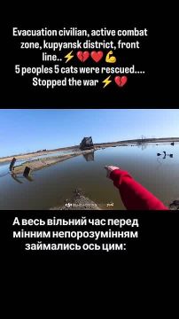 ������� ��������� �����. ��� ����� ��������� � ������ ������ �� ����� ����� �. ����� �� ������� ���������� ���������, 12.03.2026