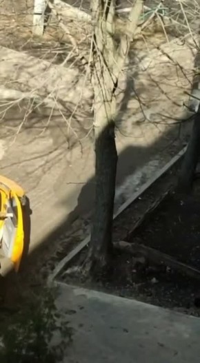 Экспресс-упаковка в Харькове