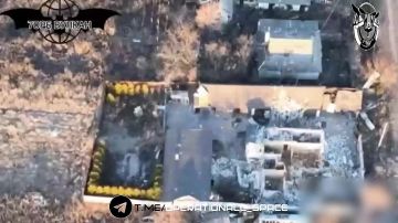 ��������� #1_��������_����� ������� ��� ��������