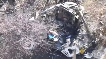 ����������. ����� ����������� ������ ������ ������ ����������