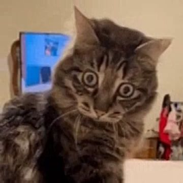 �� � ��� �� �������� ��� "�-����", �� "�-�����", � ����� ��� � � ��� ������ ��������