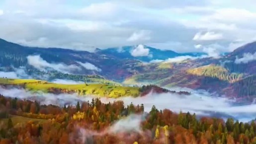 ������� ���� ����������, ���������� ���� ������� "#����������������������?"