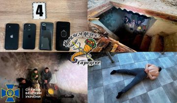 �������������-��������: ������� ���������� ���������