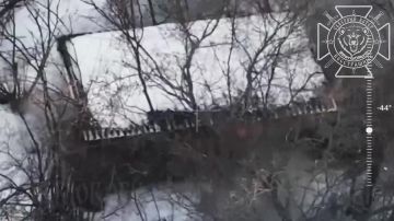 ���������������� �����������: �������� ���������� ��������� �� ����