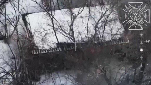 ���������������� �����������: �������� ���������� ��������� �� ����