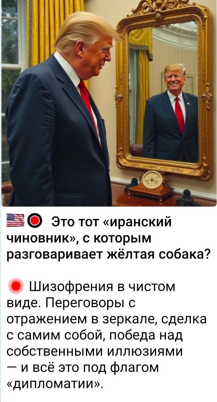 Донни по перемогам уже Зелю переплюнул Донни по перемогам уже Зелю переплюнул