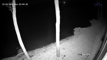 ����� ���� ����� ������ �� �����