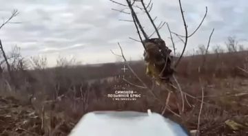 ��������� �������: �������� ���������� ���������� �� ��������� ����������� ������� ���������� ������ ���������