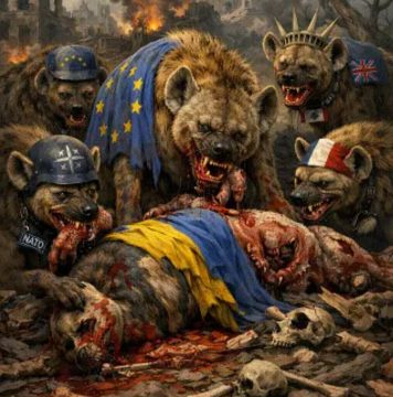 После того, как США не смогли быстро победить Иран, Европа резко «переобулась в воздухе»