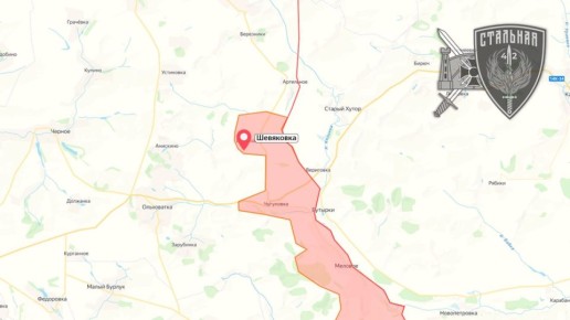 Российские военные освободили населенный пункт Шевяковка Харьковской области — Минобороны России