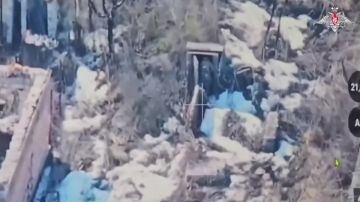 ����� ������������ ��������� ����������� �������