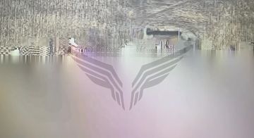 Оооо, Рубиконовцы Пэтриот поймали