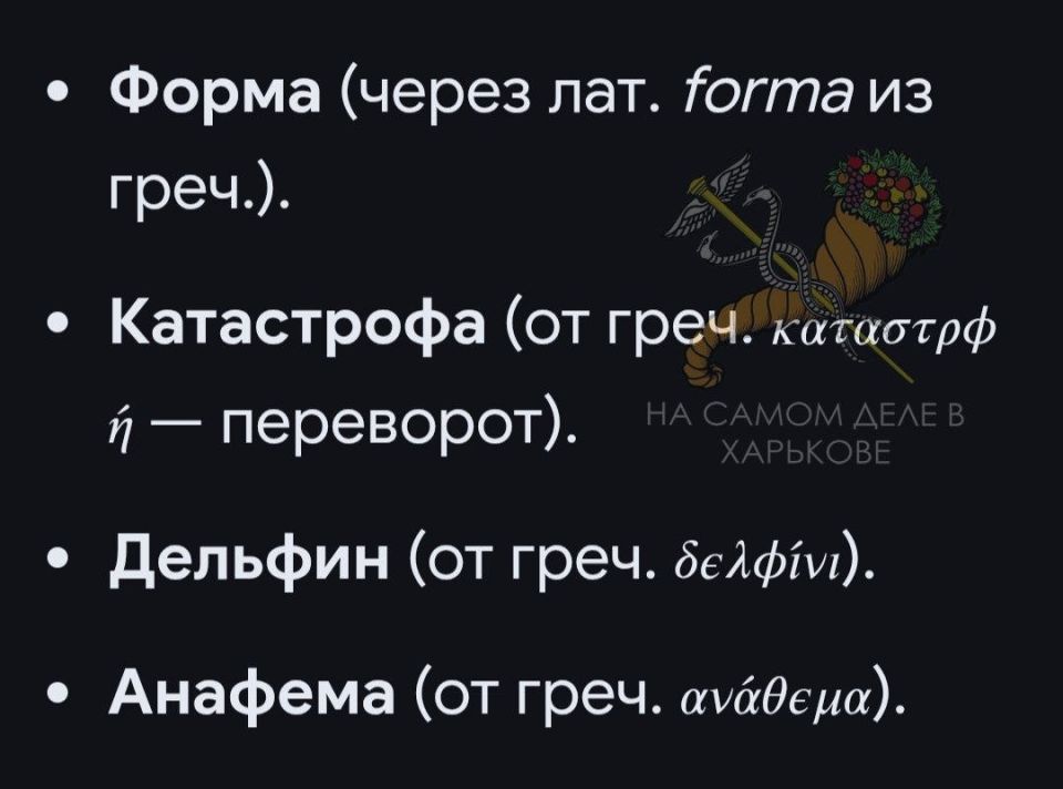 ������� ������ ���� ��������