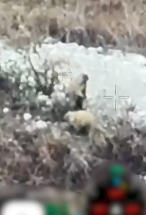 В Харьковской области проснулись сурки