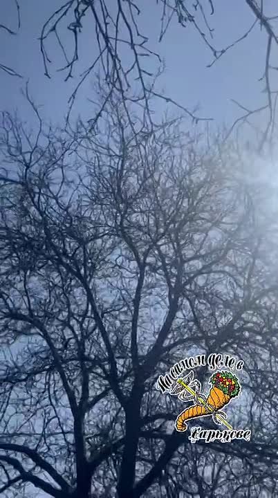 В Харькове прилет БПЛА в Холодногорском районе