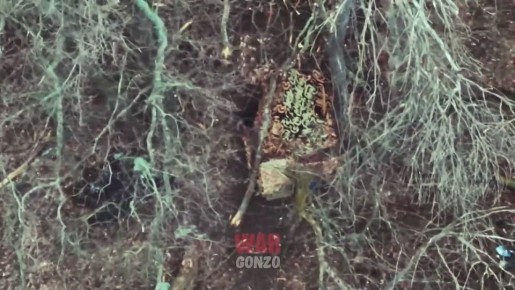 «Дикие ССО» уничтожают «осиное гнездо»