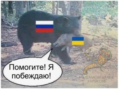 Сначала Зеленский предложил России сдаваться в одностороннем порядке — мол, «Пусть Россия сдаётся — мы не будем»