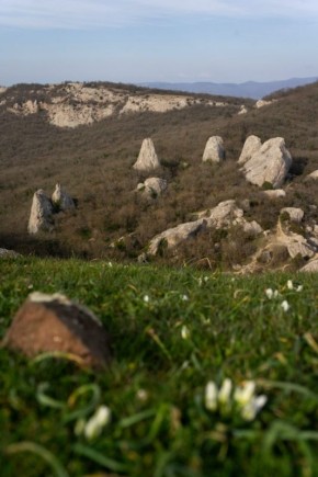 ���������� ���� ������ � �����-���