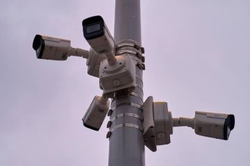 В Приморье усилили защиту от лесных пожаров: МТС установила ещё 40 «умных» камер