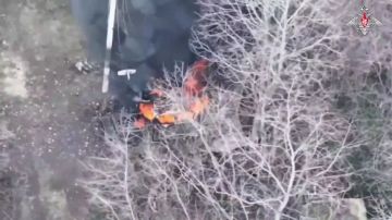 ���������� ������: � ���� ��������� ����������� ����� 82-�� ��������������� ����� ����������� ������ ���������� �������� ��� ���������� ������� ������� ��������� � ����������� �������