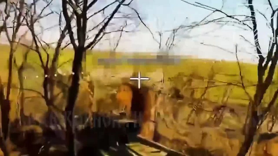 ������� ���� ���� ������������