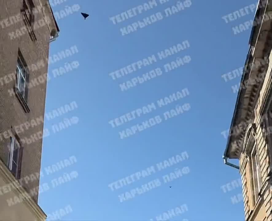 ����� "�������" �� ��������� ������� � �������� ������������