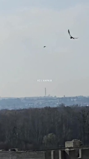 ������� ����������� ������� ��������� ���������� ������