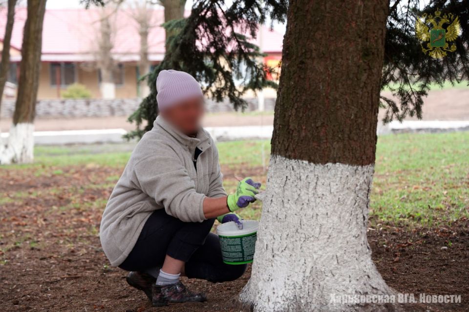 Во всех населённых пунктах освобождённой Харьковской области началась подготовка к весенним праздникам Во всех населённых пунктах освобождённой Харьковской области началась подготовка к весенним праздникам