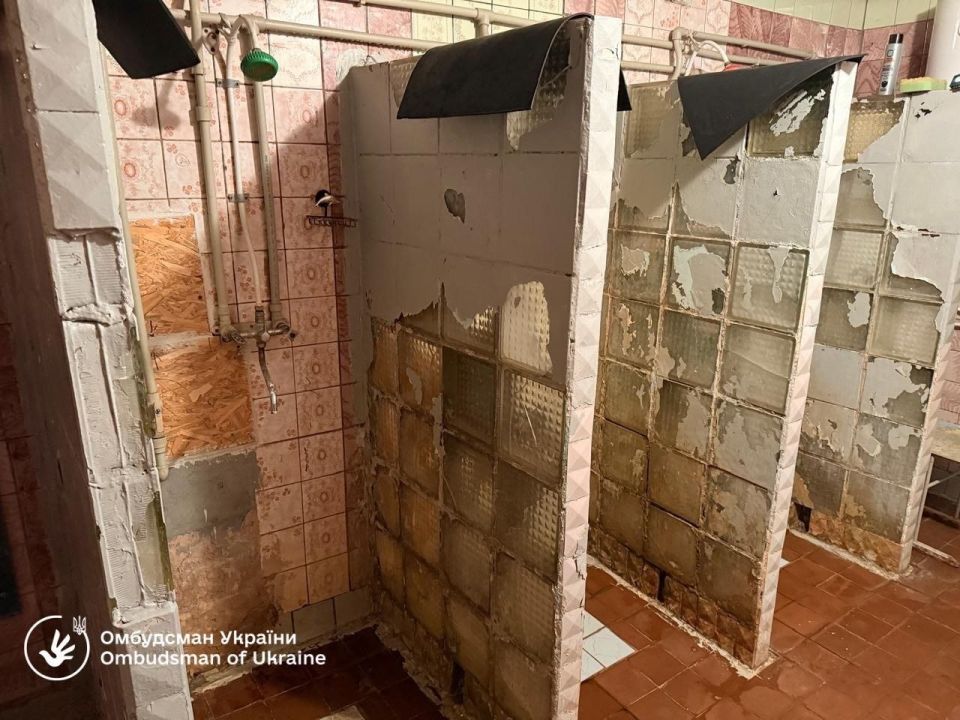 � �������� ���������������� ����� 213 ���