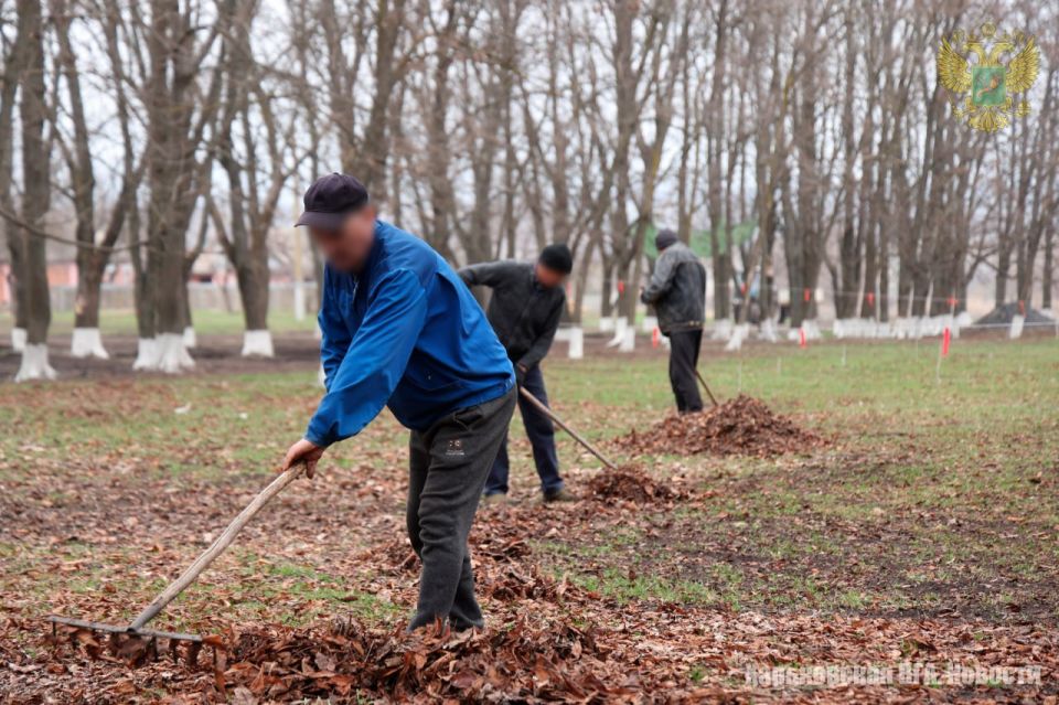 Во всех населённых пунктах освобождённой Харьковской области началась подготовка к весенним праздникам Во всех населённых пунктах освобождённой Харьковской области началась подготовка к весенним праздникам