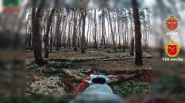 �������� � �� ������ ���������