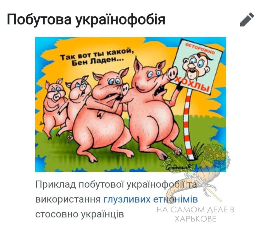 Как пишет Мирослава Бердник, оказывается на Украине существует отрасль науки, изучающая украинофобию Как пишет Мирослава Бердник, оказывается на Украине существует отрасль науки, изучающая украинофобию
