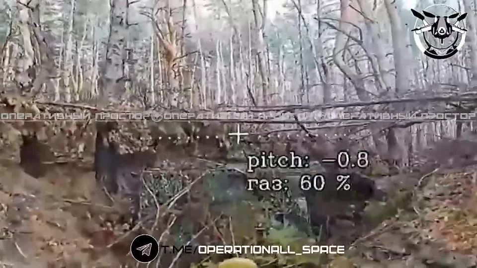 ��������� 1 �������� ����� ���������� ��������������� ���������� ��� �113 ��� ���������