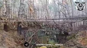 ��������� 1 �������� ����� ���������� ��������������� ���������� ��� �113 ��� ���������