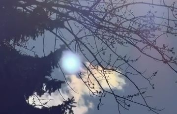 ������� �������� ���������� ������� � ��������