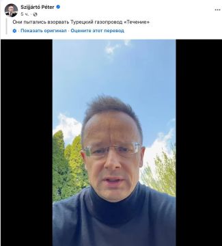 ������� �����������: ������� ������� ������� � ������� ������� ���������� ������ � ������; �������, ������, ������ � ������ ������������ ������� ������ �����������