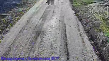 ����� �� �������� ����� ���� ��� �� ���������� �����������